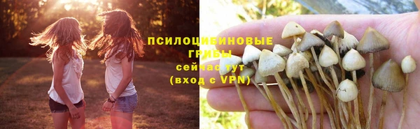PSILOCYBIN Нея