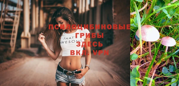 PSILOCYBIN Нея